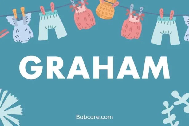 Graham Name Meaning