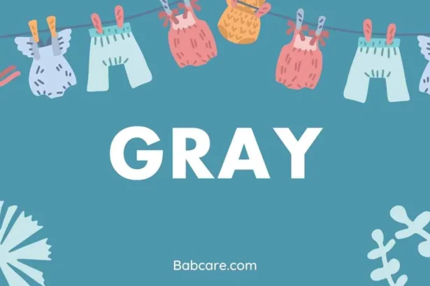 Gray Name Meaning