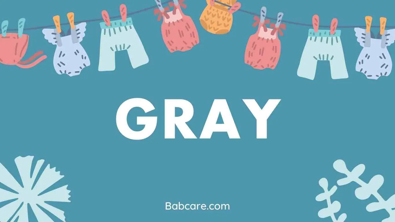 Gray Name Meaning
