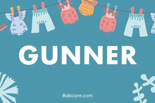 Gunner Name Meaning