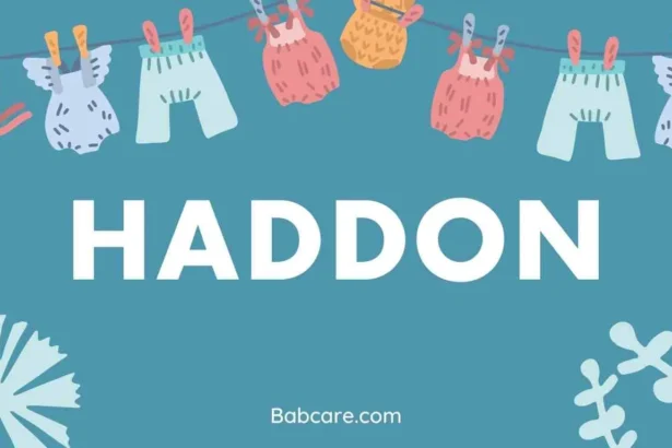 Haddon Name Meaning