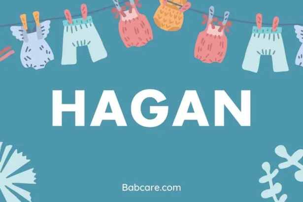 Hagan Name Meaning