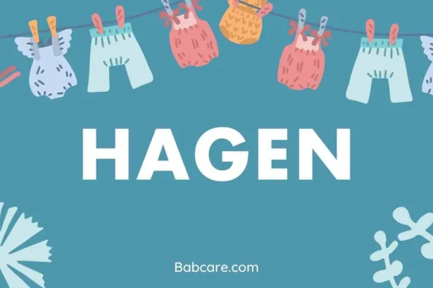 Hagen Name Meaning