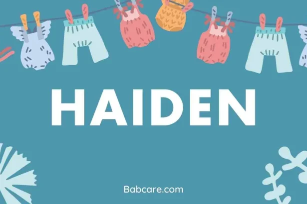 Haiden Name Meaning