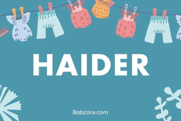 Haider Name Meaning