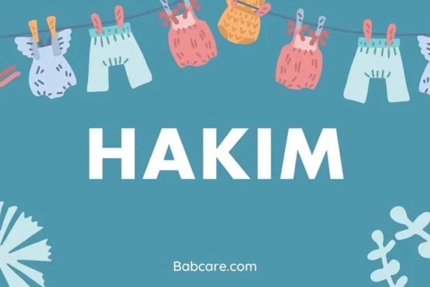 Hakim Name Meaning