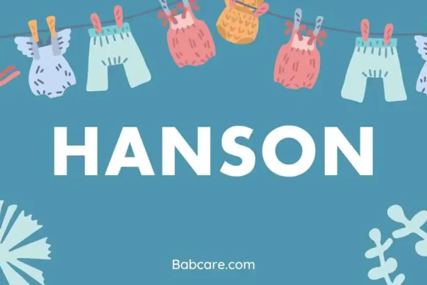 Hanson Name Meaning