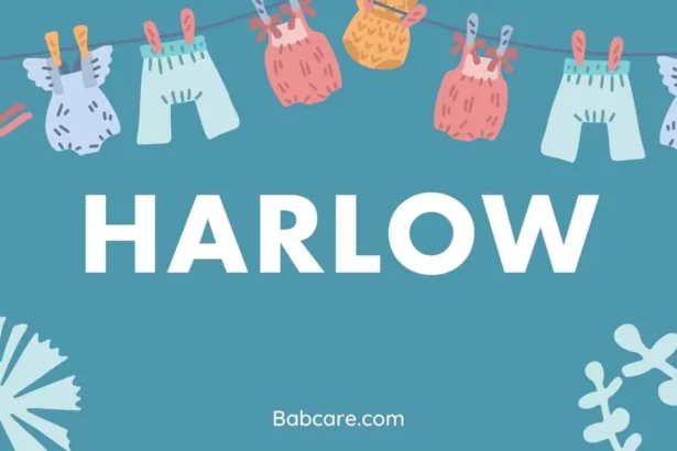 Harlow Name Meaning