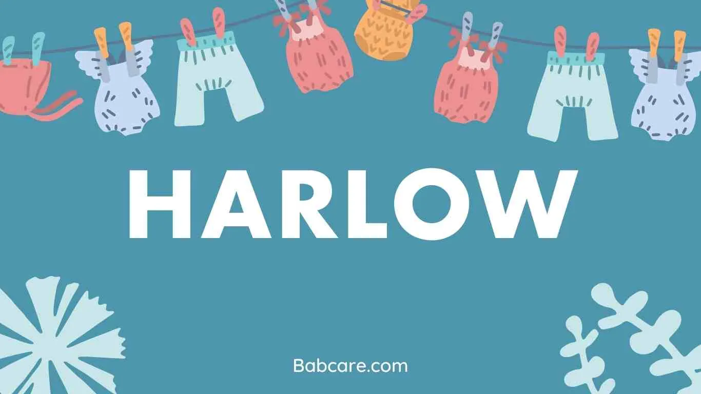 Harlow Name Meaning