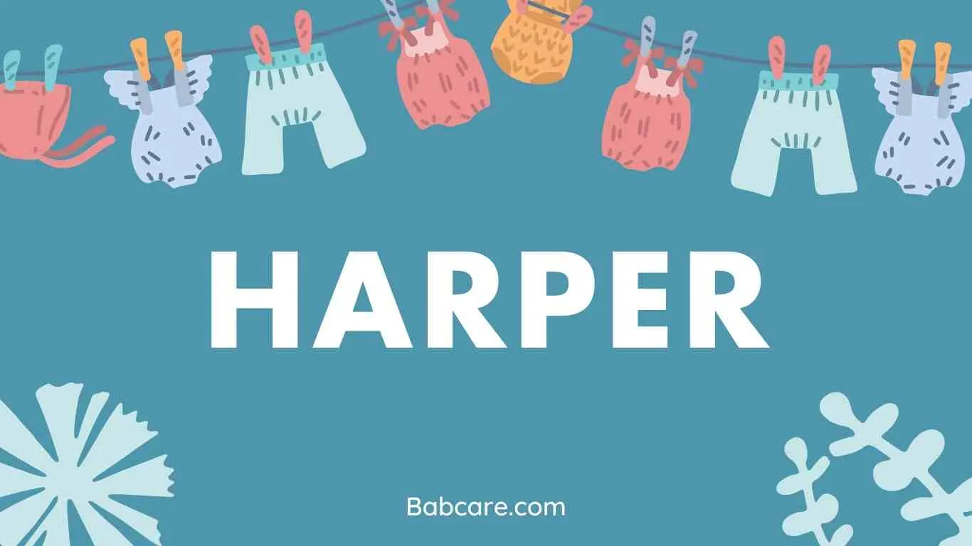 Harper Name Meaning