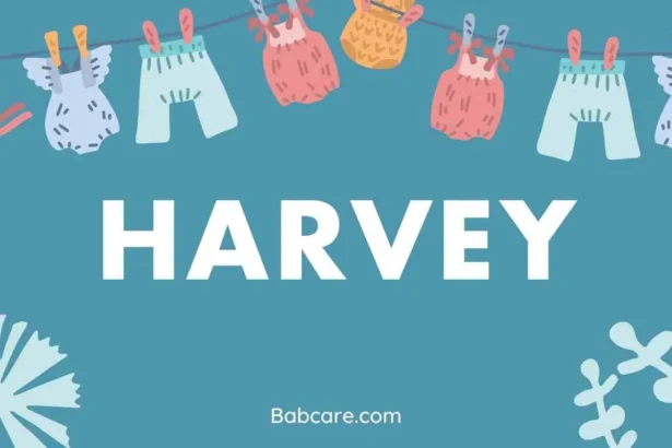 Harvey Name Meaning