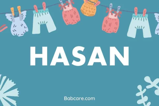 Hasan Name Meaning