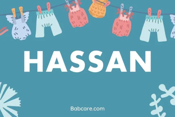 Hassan Name Meaning