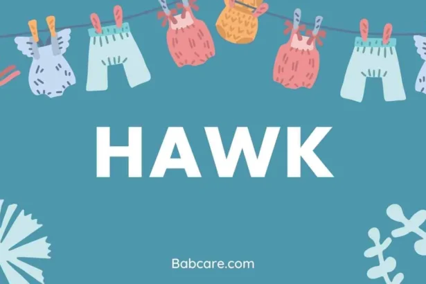 Hawk Name Meaning