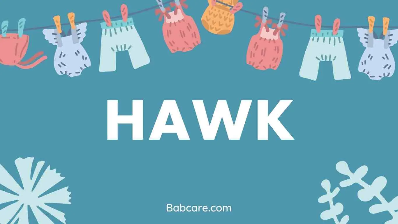 Hawk Name Meaning