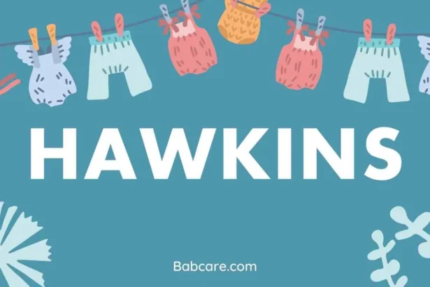 Hawkins Name Meaning