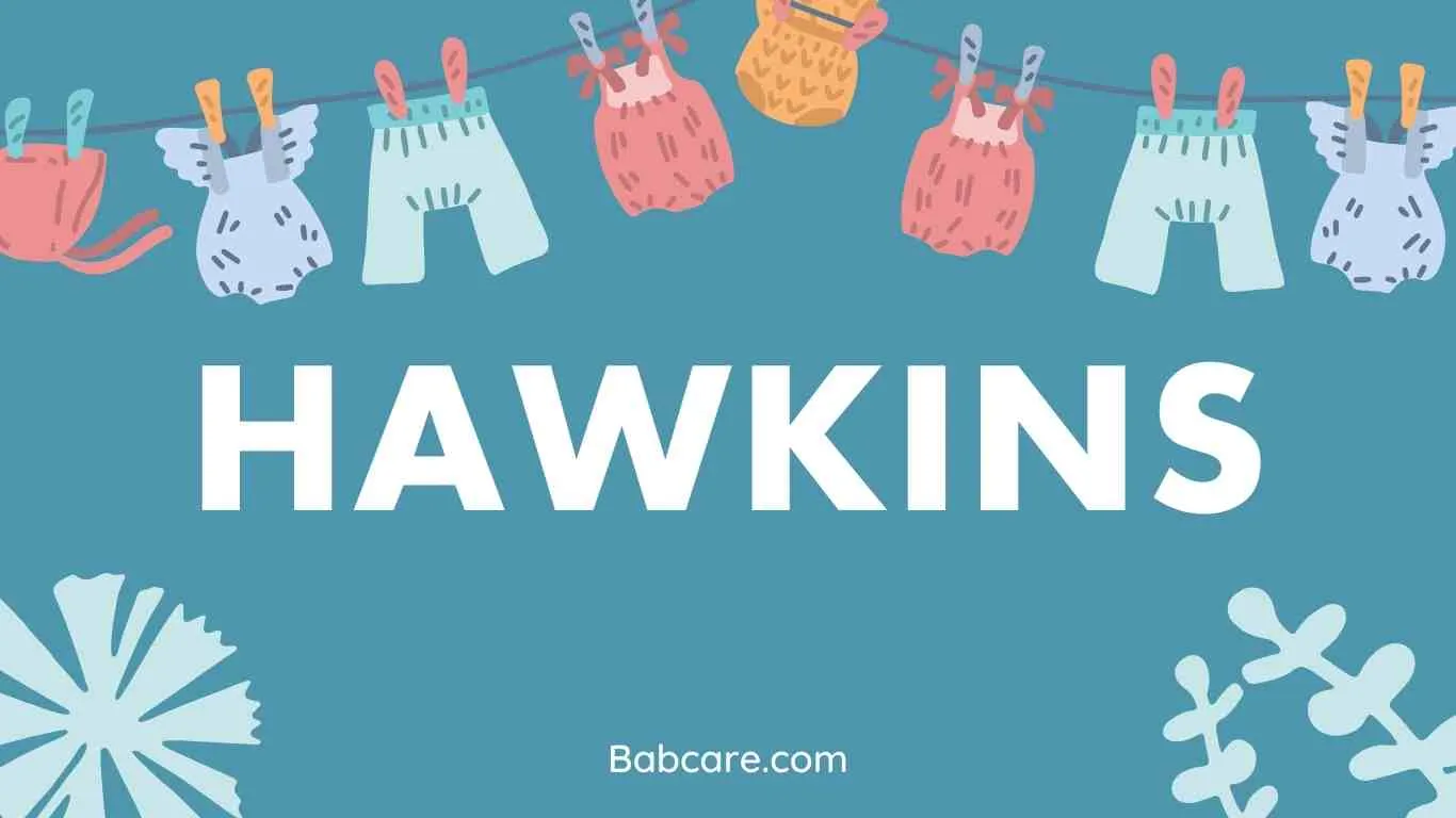 Hawkins Name Meaning