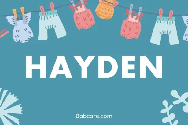 Hayden Name Meaning