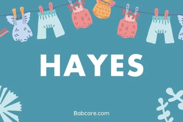 Hayes Name Meaning