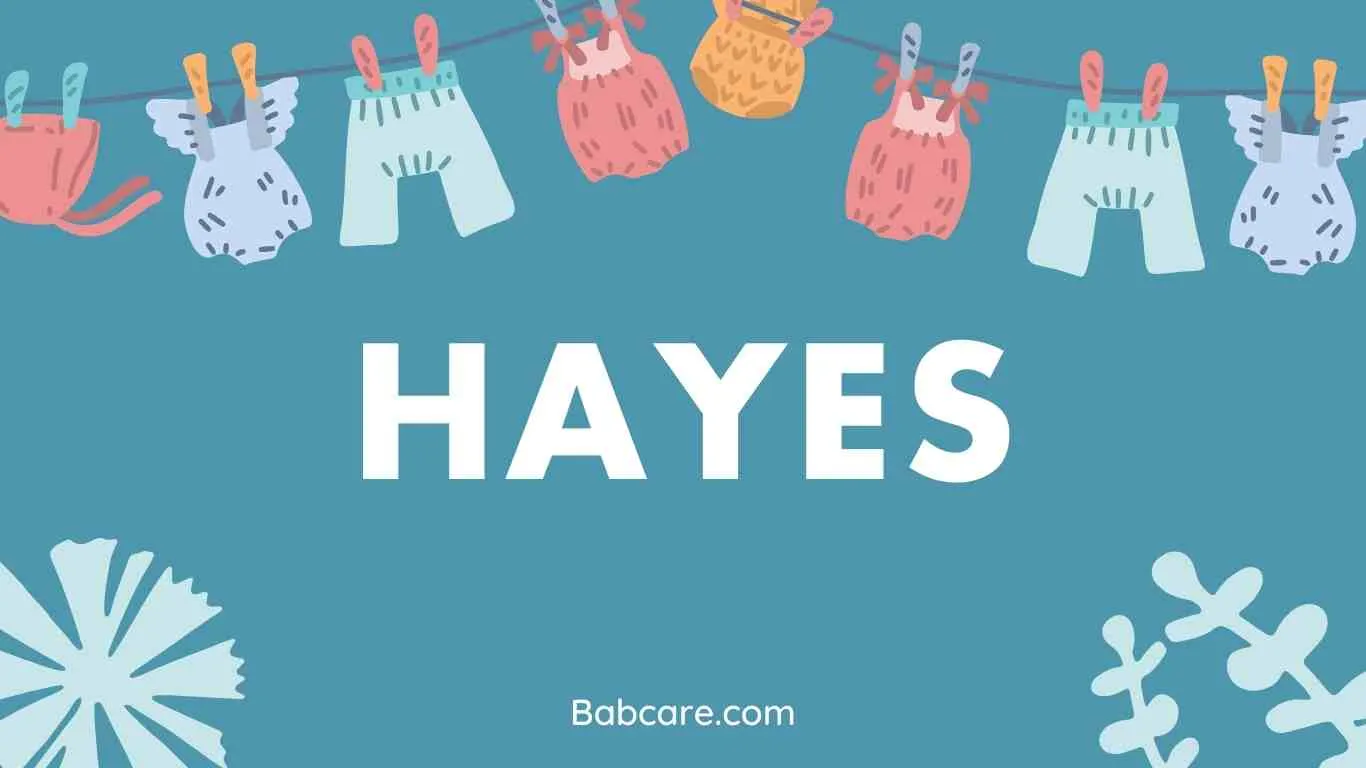 Hayes Name Meaning