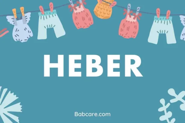 Heber Name Meaning