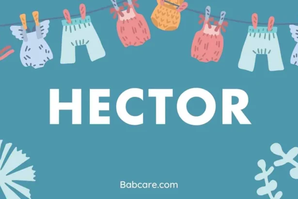 Hector Name Meaning