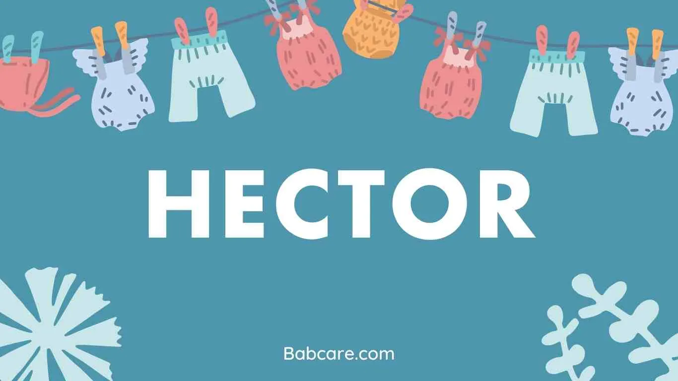 Hector Name Meaning
