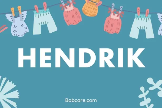 Hendrik Name Meaning