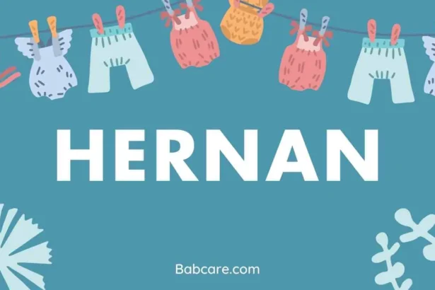 Hernan Name Meaning