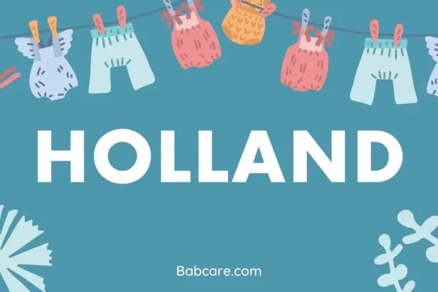 Holland Name Meaning