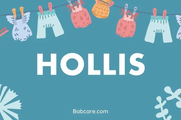 Hollis Name Meaning