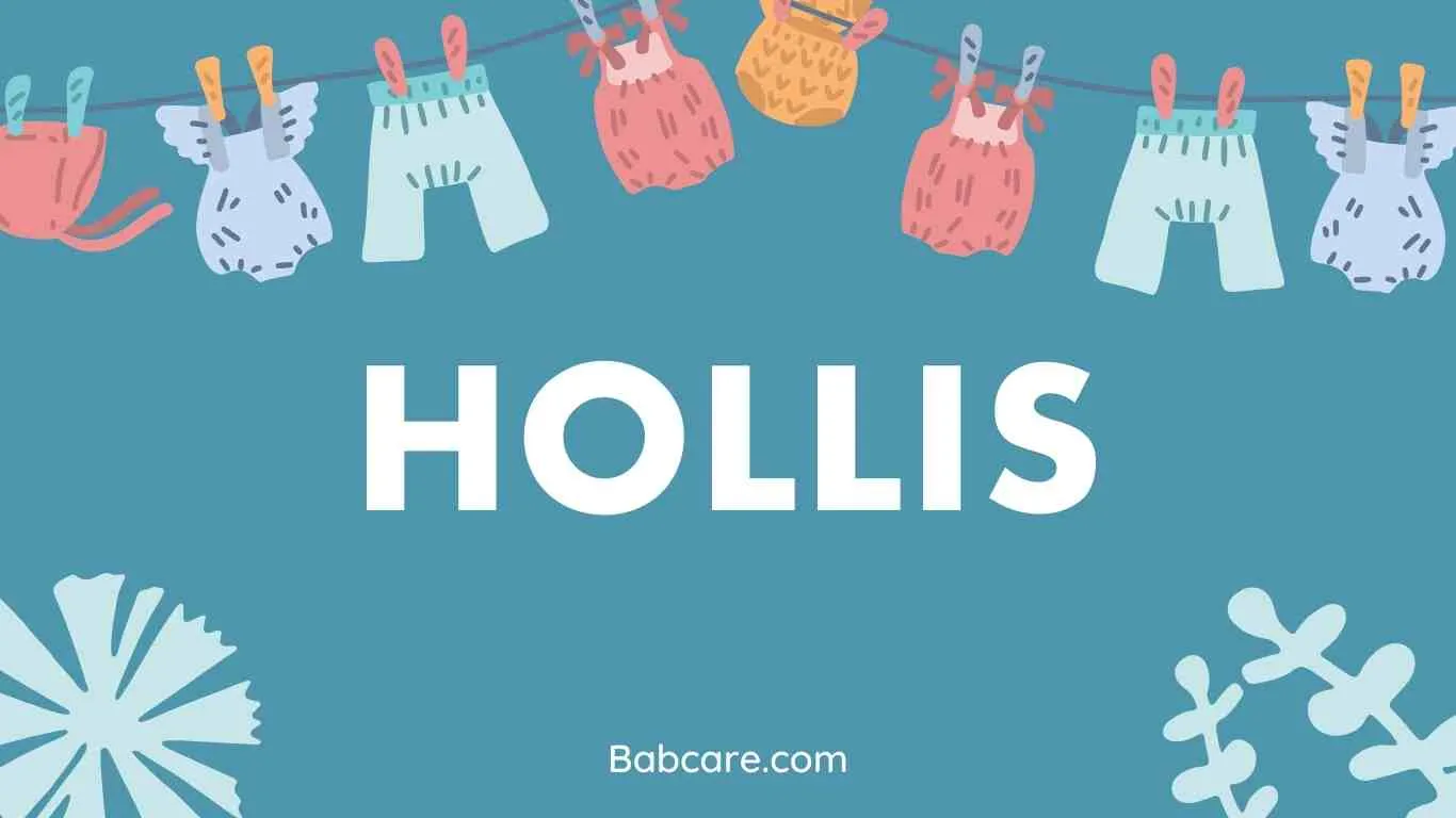 Hollis Name Meaning