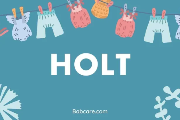 Holt Name Meaning