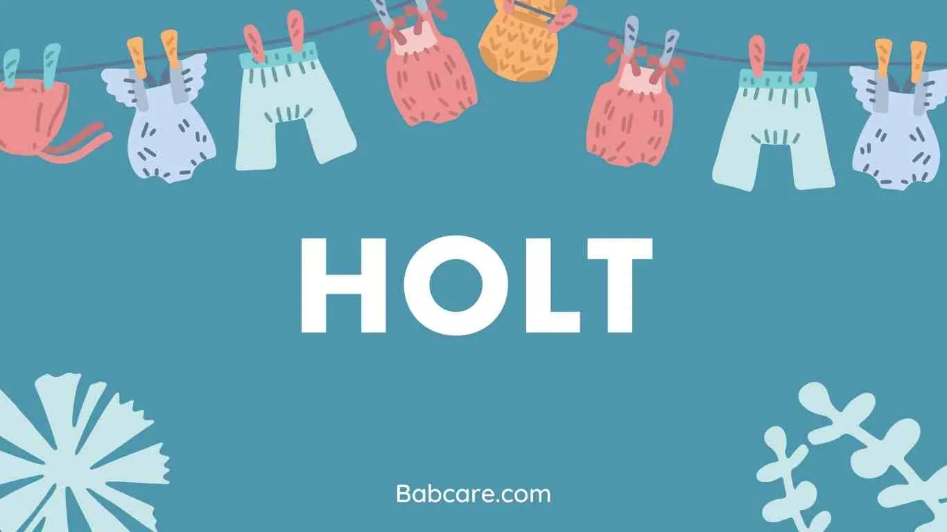 Holt Name Meaning
