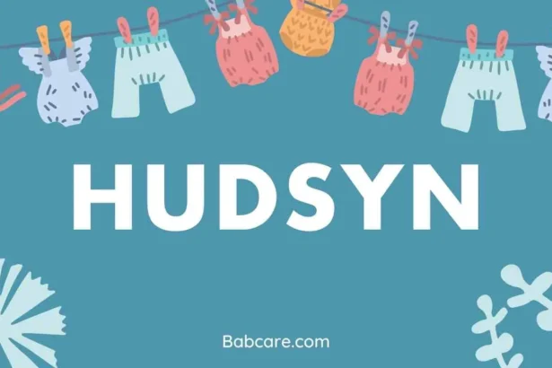 Hudsyn Name Meaning