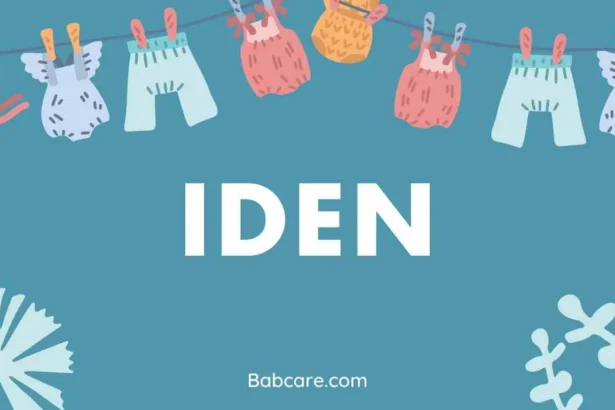 Iden Name Meaning