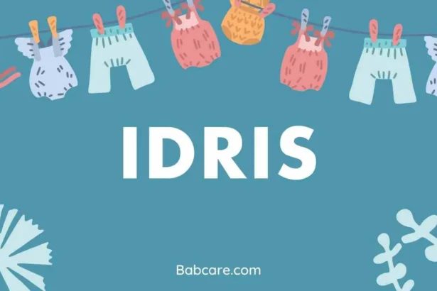 Idris Name Meaning