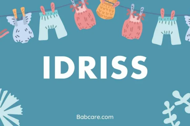 Idriss Name Meaning