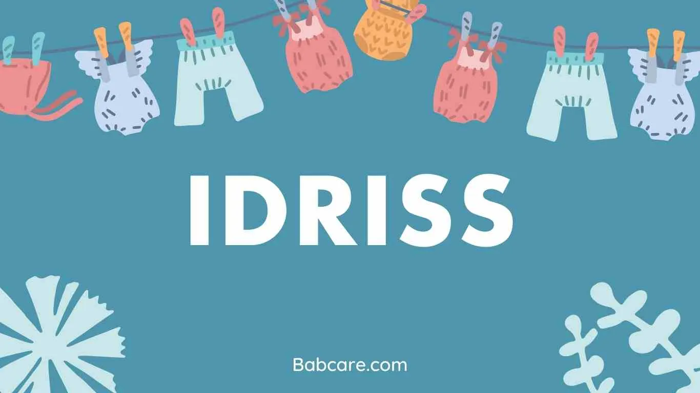 Idriss Name Meaning