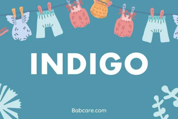 Indigo Name Meaning