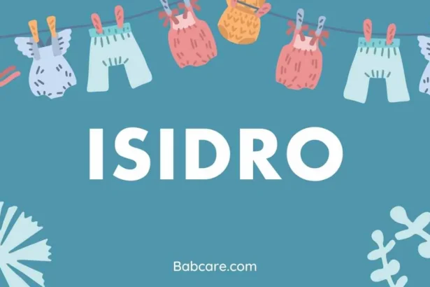 Isidro Name Meaning