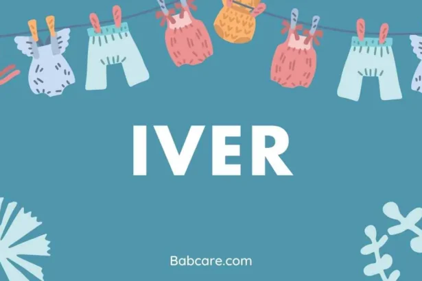 Iver Name Meaning