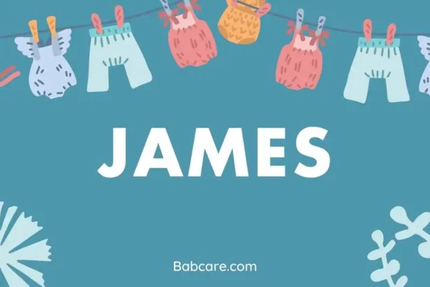 James Name Meaning