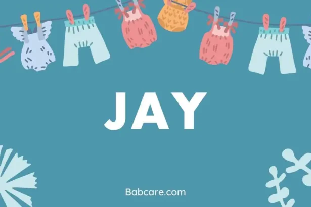 Jay name meaning