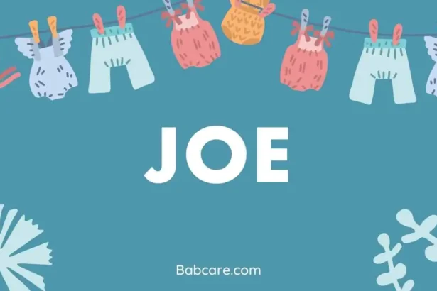 Joe name meaning