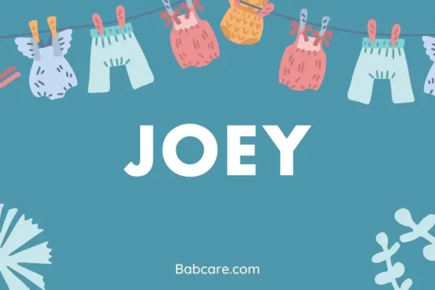 Joey name meaning