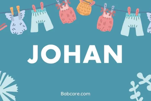Johan name meaning