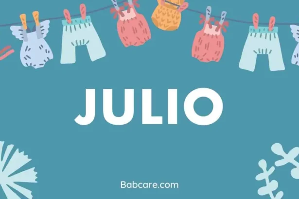 Julio name meaning