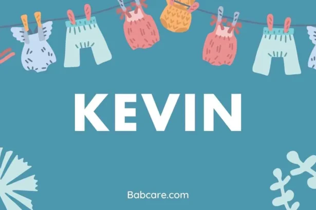 Kevin name meaning