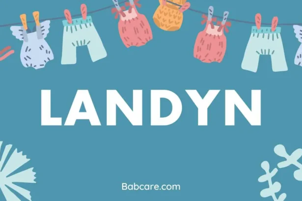 Landyn name meaning